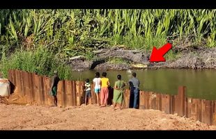 200 Incredible Things Caught on Camera. Best of the Month