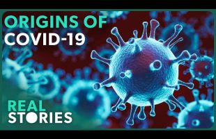Unmasking COVID-19’s True Origin