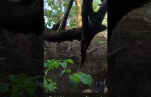 Mortar landing 2 meters Away in Ukraine