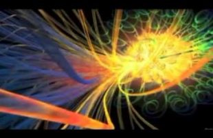 Terence Mckenna The importance of human beings