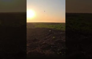Over the Top