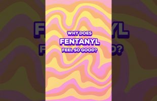Fentanyl Explained