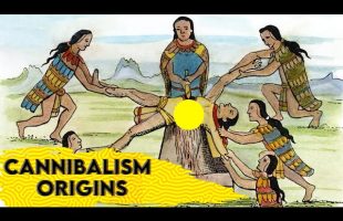 The Bizarre History Of Human Cannibalism