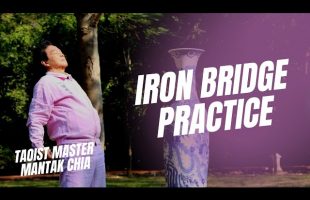 Iron Bridge practice to strengthen your internal organs and stretch fasciae. Tao Master Mantak Chia