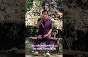 Healing Energy and Violet Light Transmission on December 3rd by Master Mantak Chia. Join now🔥