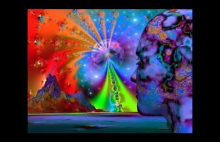 Terence Mckenna – A way to understand reality