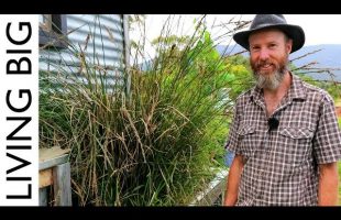Simple Permaculture-Based Grey-Water Treatment System