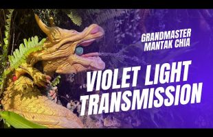 A unique energy healing session with Master Mantak Chia. Violet Light direct transmission online☯️🔥