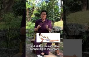 What is the difference between Tao Yin and Indian Yoga? Master Mantak Chia explains #mantakchia