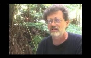 Terence Mckenna explains how ‘we are moving beyond matter’ in eight minutes