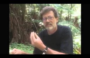Terence Mckenna   Timewave zero explained in under ten minutes