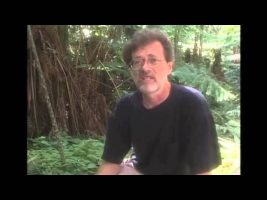 Terence Mckenna – Novelty Theory explained in seven minutes