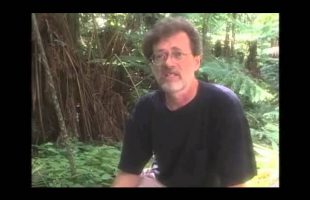 Terence Mckenna – Novelty Theory explained in seven minutes