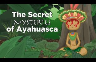Are Miracles Real? The Secret Mysteries of Ayahuasca