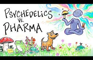 Psychedelics Vs. Pharmaceuticals