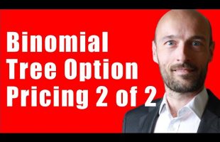 Pricing Options Using the Binomial Tree (Risk Neutral Valuation Approach)
