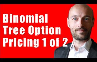 How to Price Options using a Binomial Tree (The Portfolio Approach)