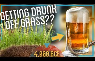Brewing Beer from Dirt and Grass