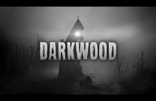 Darkwood | Ambient Soundscape