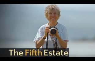 She pioneered giraffe research but few know her name  – The Fifth Estate