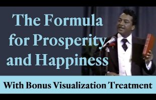The Formula for Prosperity and Happiness (with bonus Visualization Treatment!)
