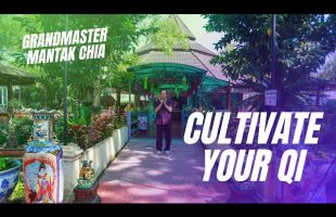 Qigong for you life-force cultivation. Qi as bio-electromagnetism. Taoist Master Mantak Chia