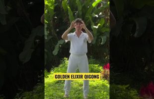 Golden Elixir Qigong. Healing power of saliva to strengthen your body and mind