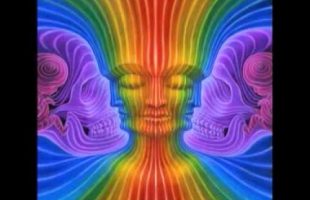 Terence Mckenna on how to deal with bad trips