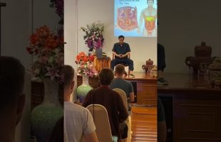Welcome to the Qigong Retreat with Master Mantak Chia in Tao Garden and online this November🙏🏻