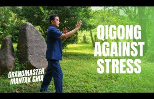 Antistress Qigong. Taoist practices against stress. Grandmaster Mantak Chia explains☯️