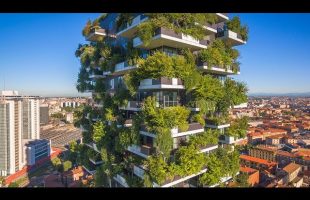 When Trees Meet Buildings