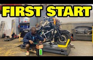 The DIY Electric Harley: The First Signs of Life