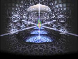 Terence Mckenna – How Evolution Occurs 1984 [FULL]