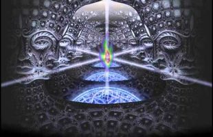Terence Mckenna – How Evolution Occurs 1984 [FULL]