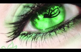 Alan Watts – Death and the real you