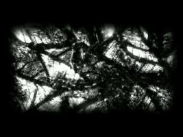 Terence McKenna – Collective Skin of Our Culture – Aslan Osi