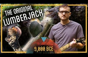 Neolithic Tree Felling: Metal vs Stone