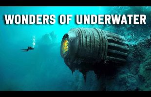 WONDERS OF UNDERWATER | The Most Amazing Underworld in Planet Earth #travel #4k