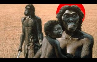 A Brief History Of The Homo Species That Changed Human Evolution Forever: Homo Habilis