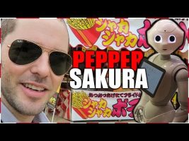 Robots and Cherry Blossoms