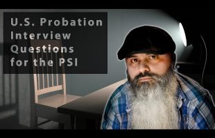 U S  Probation Interview Questions for the PSI