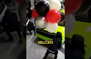 You Won’t Believe What They Took…