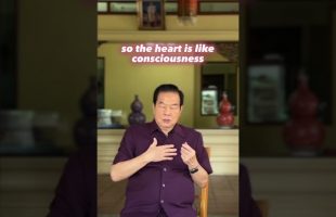 Lower Tan Tien energy center as the second brain. Activate your gut brain through Tao practice #tao