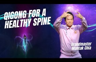 Taoist Qigong for a healthy spine. Craniosacral Qigong Basics by legendary Tao Master Mantak Chia☯️