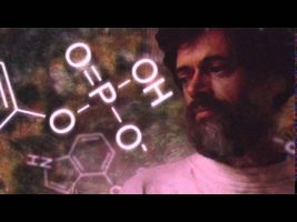 Terence Mckenna – Human Civilization and the Archaic Revival