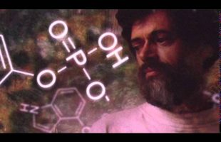 Terence Mckenna – Human Civilization and the Archaic Revival