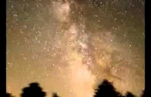 Terence Mckenna – Remember The Earth