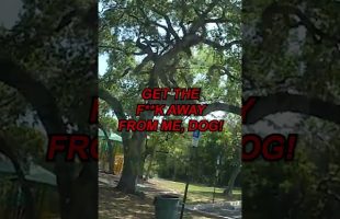 Dog Bites Man, Then Turns on Police