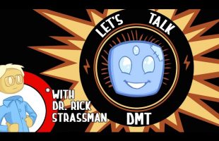 The Secrets of DMT: The Spirit Molecule (Ft. Rick Strassman)