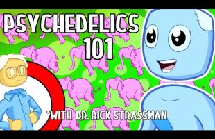 The Science of Psychedelics (ft. Dr. Rick Strassman)